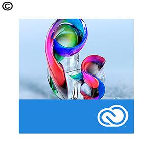 Adobe | Photoshop Creative Cloud for Teams - 12-Month Subscription