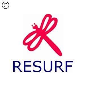 Resurf | Mesh to Single NURBS