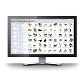 Digimation | Digimation Model Bank Library Collection of 3D Models