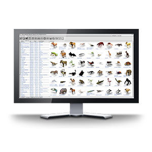 Digimation | Digimation Model Bank Library Collection of 3D Models