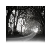 LAUBlab | Q-PlaneTrees BUNDLE 1+2+3