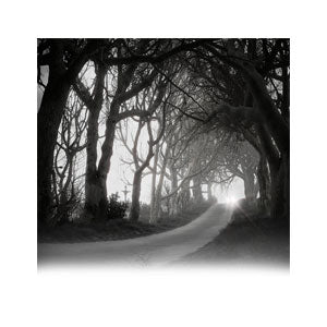 LAUBlab | Q-PlaneTrees BUNDLE 1+2+3