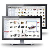 Digimation | Digimation The Archive + Model Bank Library Bundle